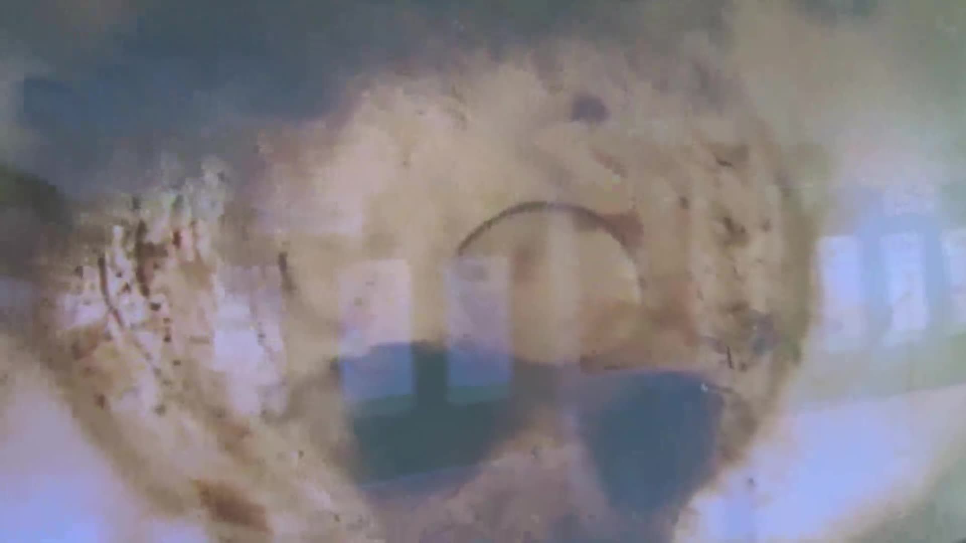 魚のたんじょう②