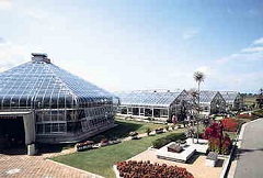 フラワーセンター