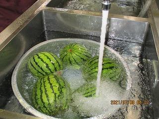 きれいに洗って