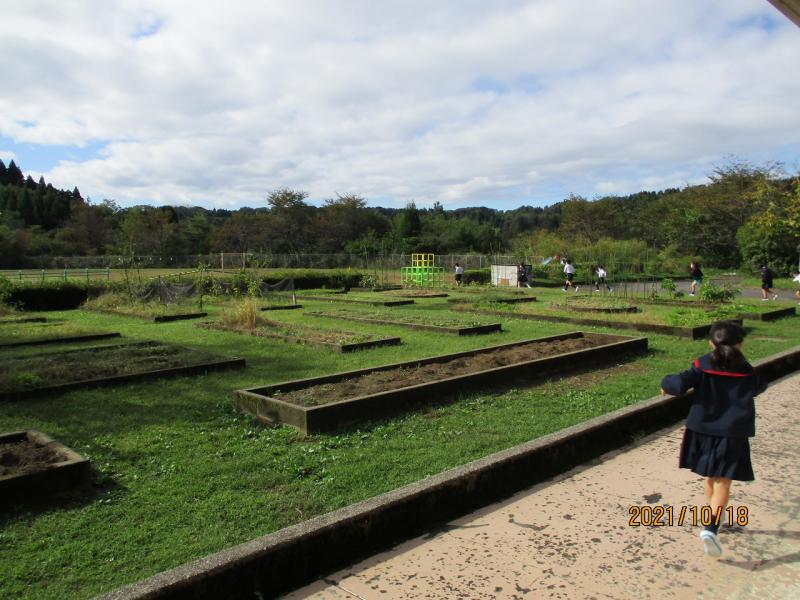 校庭にでてから走ります！