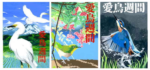 １年次 アクリルガッシュを使って制作したポスター 愛鳥週間ポスター