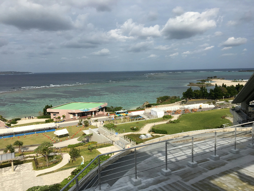 ３日目 美ら海水族館①