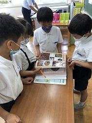 図鑑で鳥を見ています。