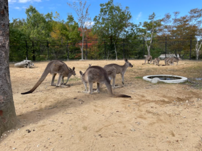 R３ １０月 宝達志水町立宝達中学校