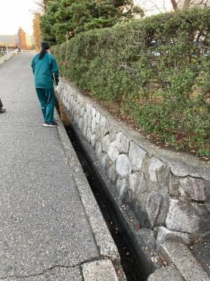側溝周りも掃きます