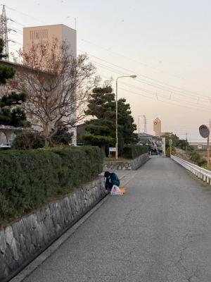 側溝の中も集めます