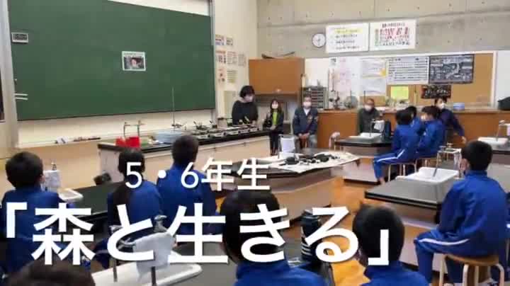 5・6年生　金津の森プロジェクト「森と生きる」