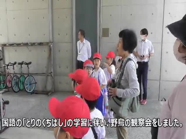 1年生・ひまわり学級　野鳥の観察会と鳥のくちばし講座