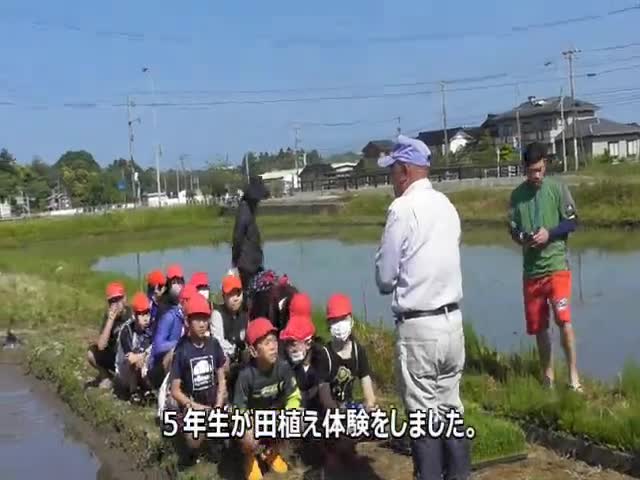 5年生　田植え体験