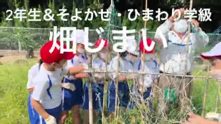 2年生＆そよかぜ・ひまわり学級　畑じまいをしました