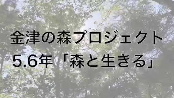 5.6年生 金津の森プロジェクト「森と生きる」(炭作り体験)