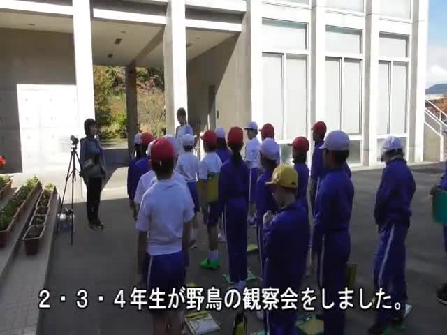 2・3・4年生　野鳥観察会