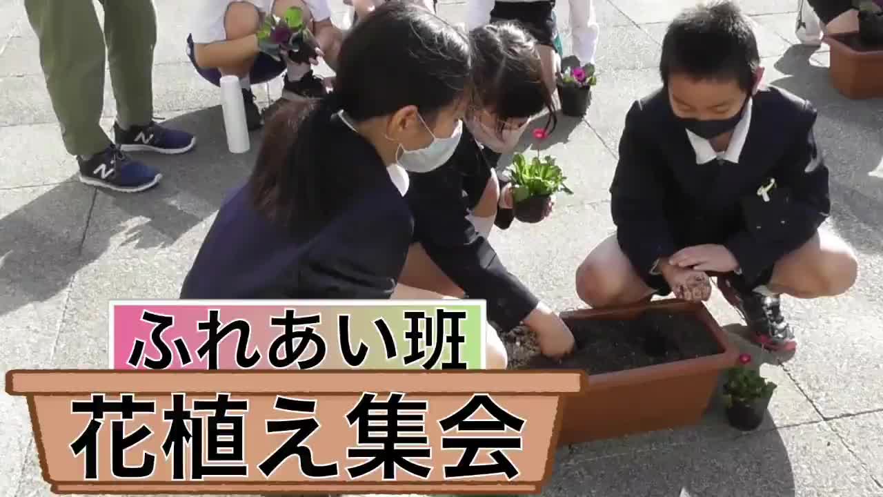 ふれあい班(1~6年生)「花植え集会」