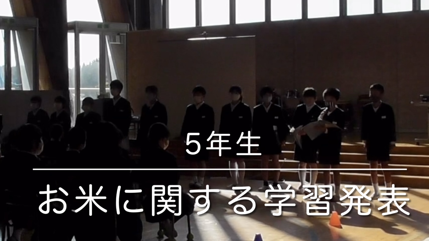 5年生「お米に関する学習発表」
