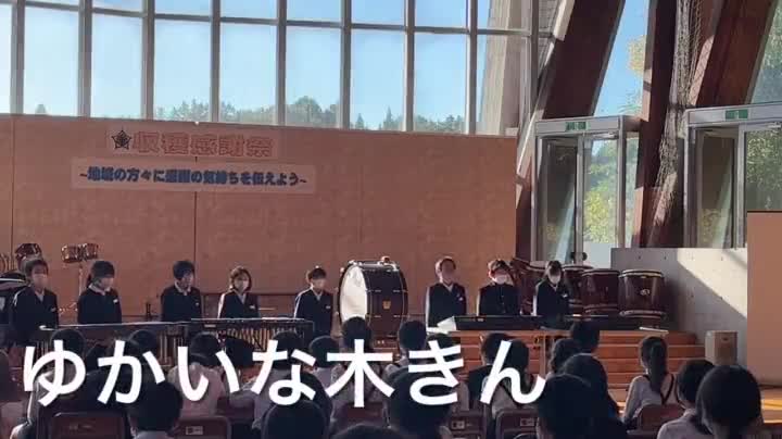 3年生　ゆかいな木きん