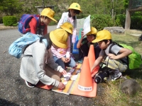 文字あてパズル