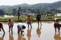 田植え