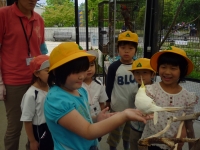 いしかわ動物園