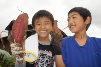 サツマイモ サツマイモ