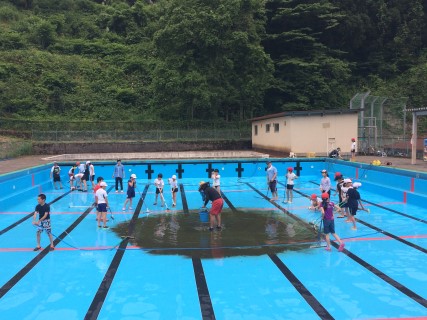 プール掃除6月2日