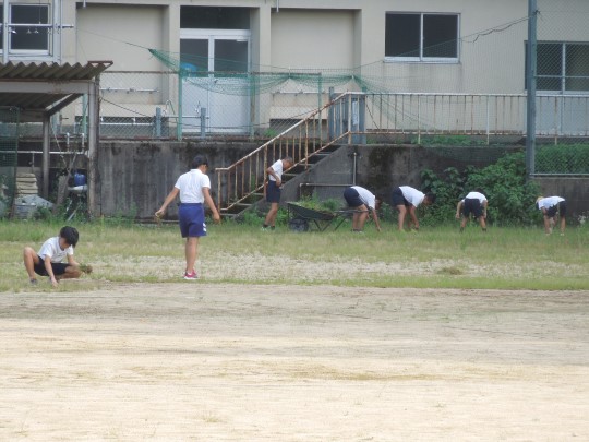 野球部が草むしりをしてくれました