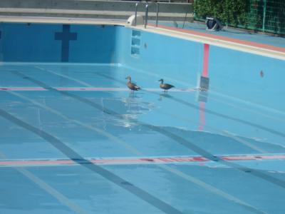 トップページ 輪島市立河井小学校
