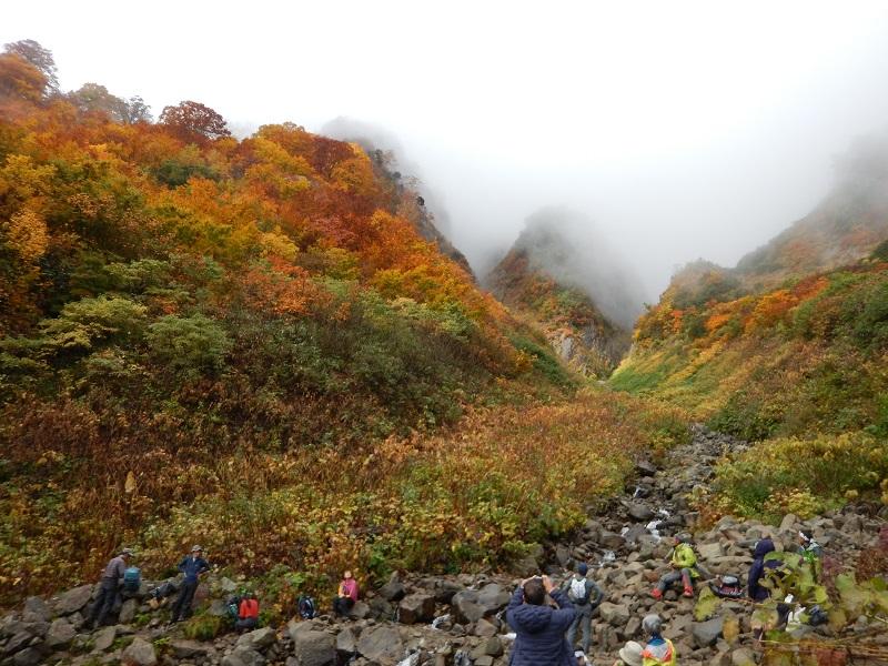 荒菅沢から上流を望む