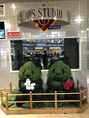 Ｂ隊３日目アドベンチャーワールド２