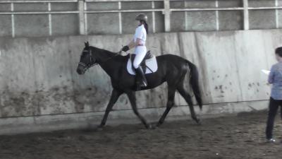 馬場馬術競技の写真です。