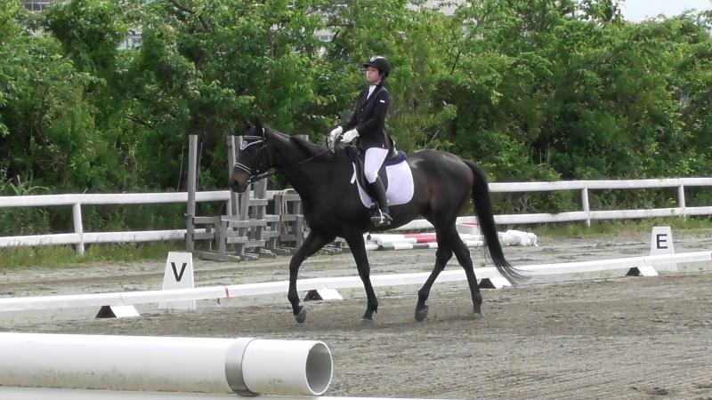 華麗な演技を見せた馬場馬術