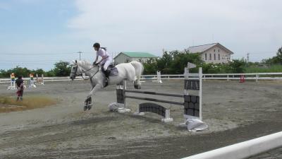 豪快な障害飛越競技