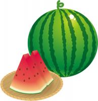 せいかいは・・・