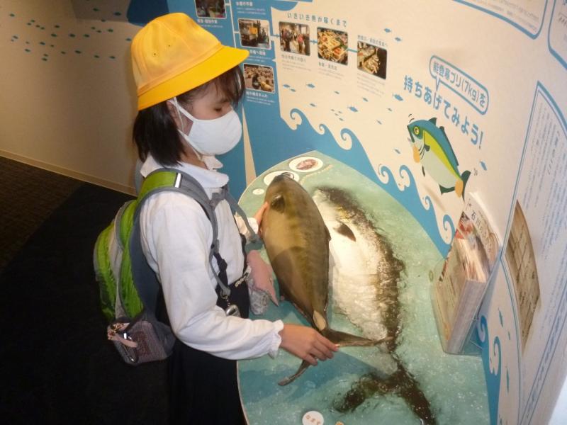 能登のよさをおもいっきり体感してきたよ！