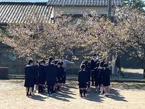 桜の木の下で記念撮影するよ！