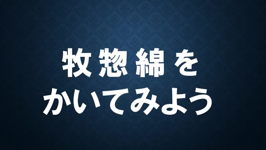 ３年放物線②複数描く