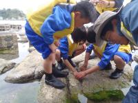 磯でセンター職員の説明を聞いています。