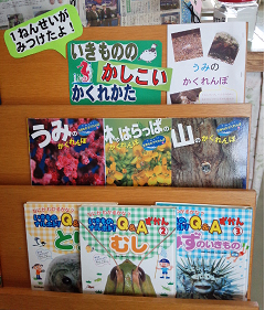 １年生うみのかくれんぼ