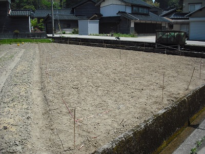 大豆植え4 大豆植え4