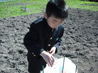 お世話2 お世話2