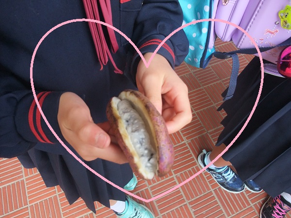 あけび1 あけび1