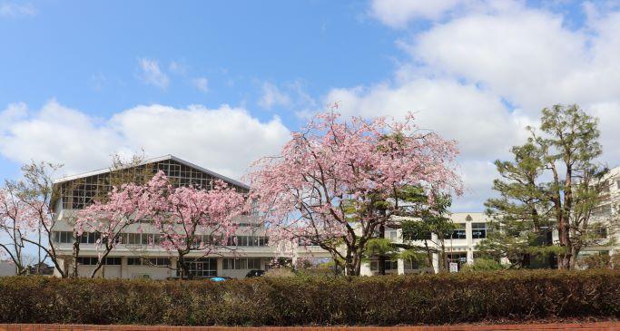 トップページ 羽咋市立邑知中学校