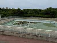 掃除前のプール