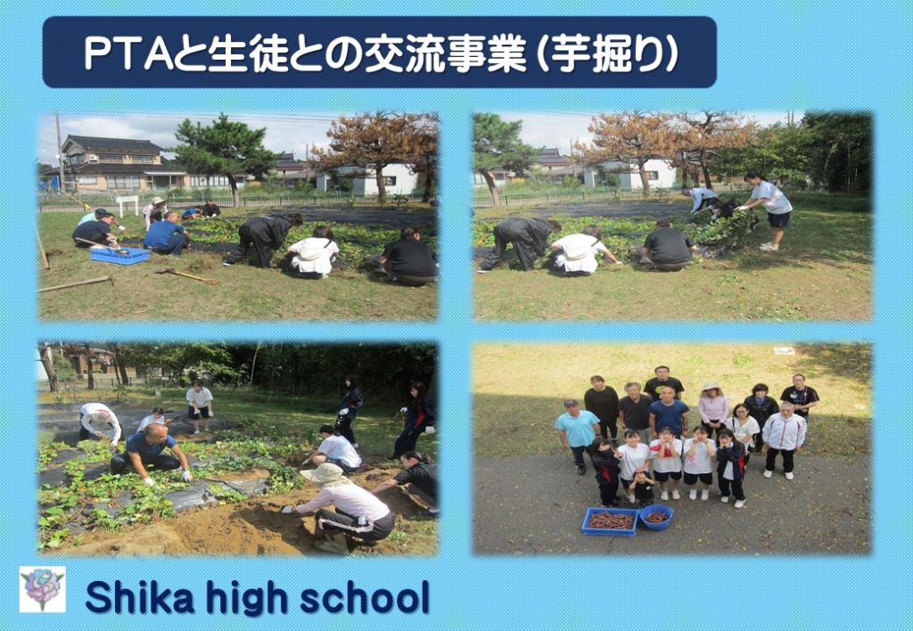 サツマイモの収穫作業