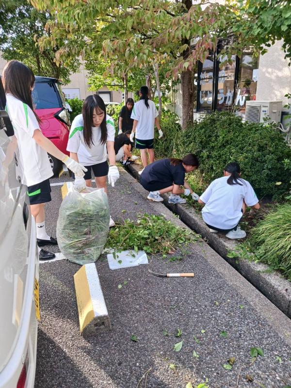 草むしりをする部員たち