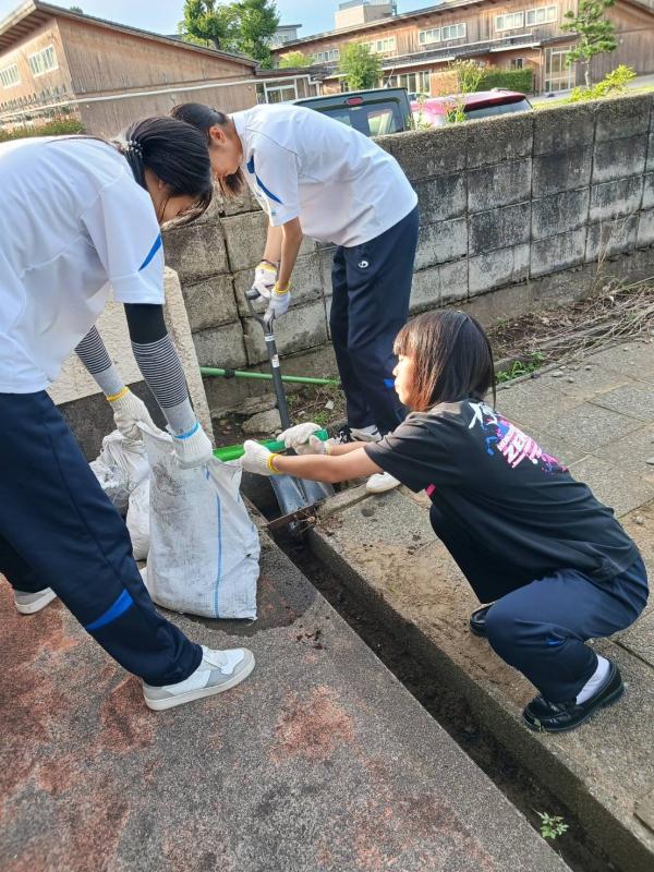 土嚢の清掃を行う部員たち