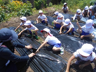 アグリスクール