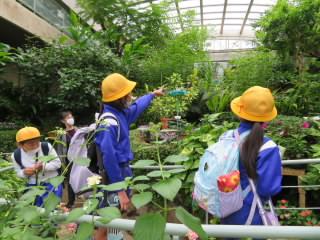 ふれあい昆虫館