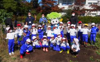 サツマイモ堀り