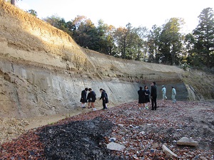 露頭観察