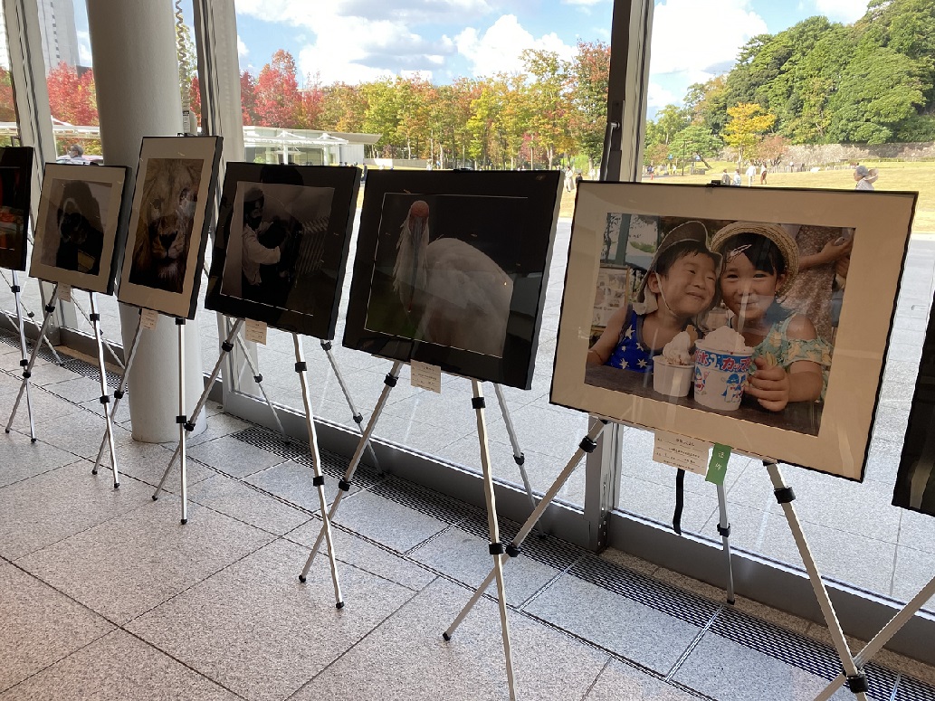 しいのき迎賓館１Fエントランス
